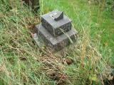 image of grave number 354662
